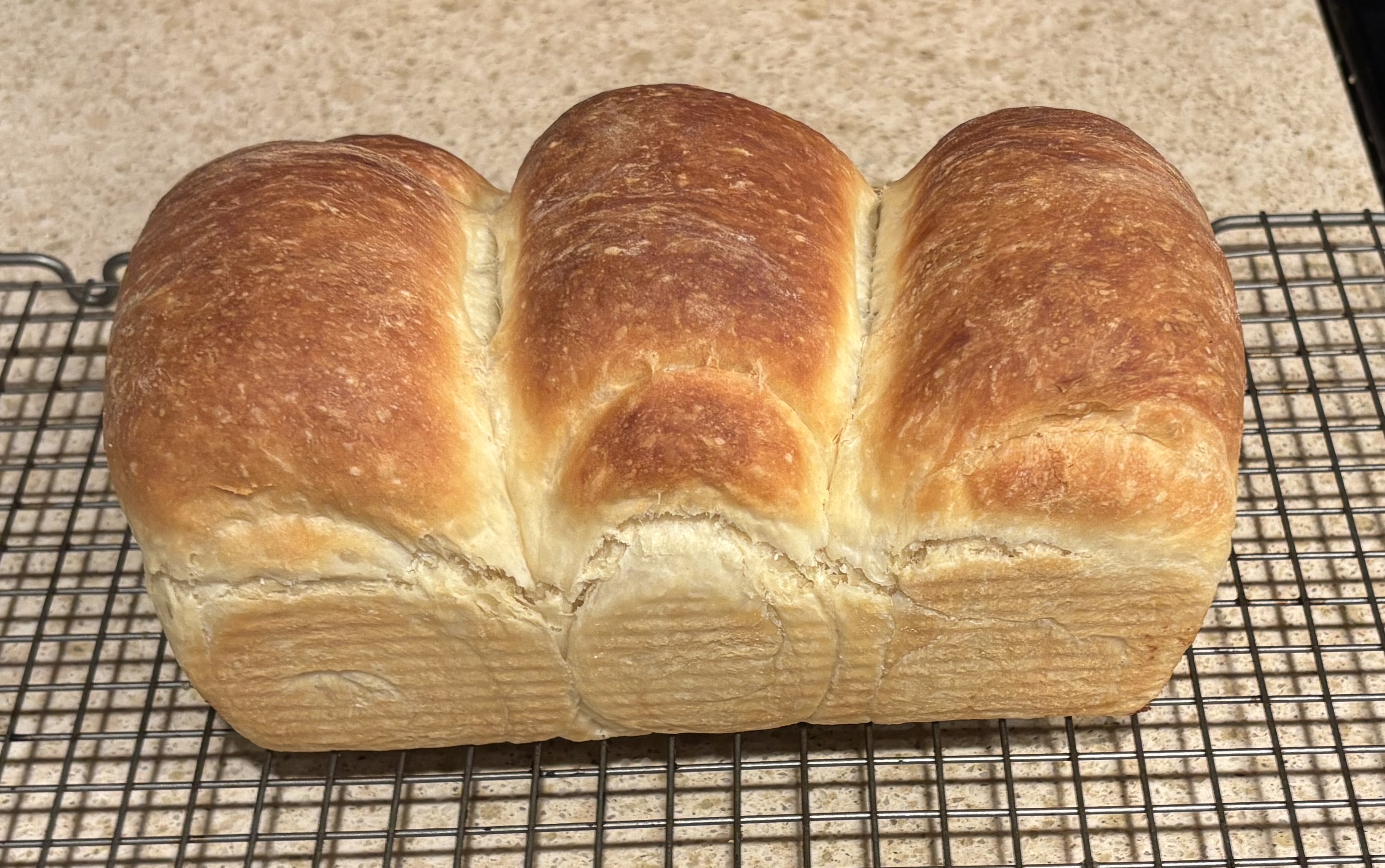 Shokupan (Japanese Milk Bread)
